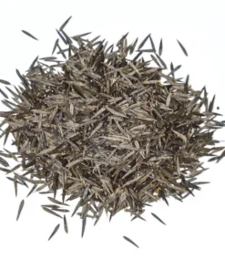 Huacatay Seeds - 250 Peruvian Mint Herb Seeds for Culinary & Medicinal Use