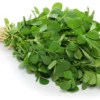Fenugreek Seeds - 75+ Seeds - Culinary Herb - Free Ship