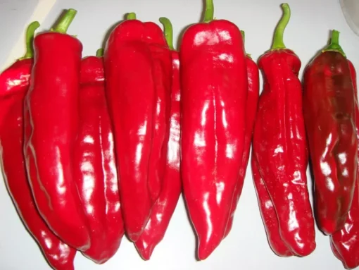 Sweet Red Marconi Pepper Seeds Heirloom Container Variety
