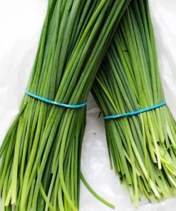 Chives Herb Plant 4in Starter Size Easy to Grow Fresh