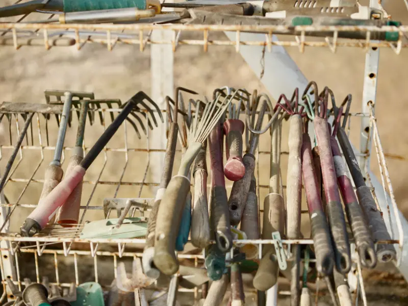 Everything about Gardening Jobs for April You’ll Ever Need