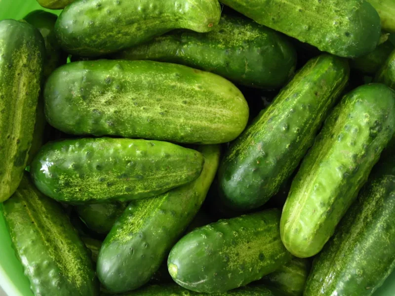 National Pickling Cucumber Seeds - 25 Count - Free Shipping - Garden Vegetable