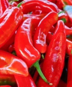 Sweet Red Marconi Pepper Seeds Heirloom Container Variety