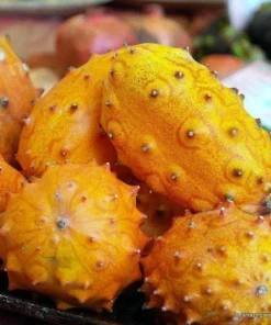 Kiwano Horned Melon Seeds - 25 Seeds - Grow Exotic Fruit