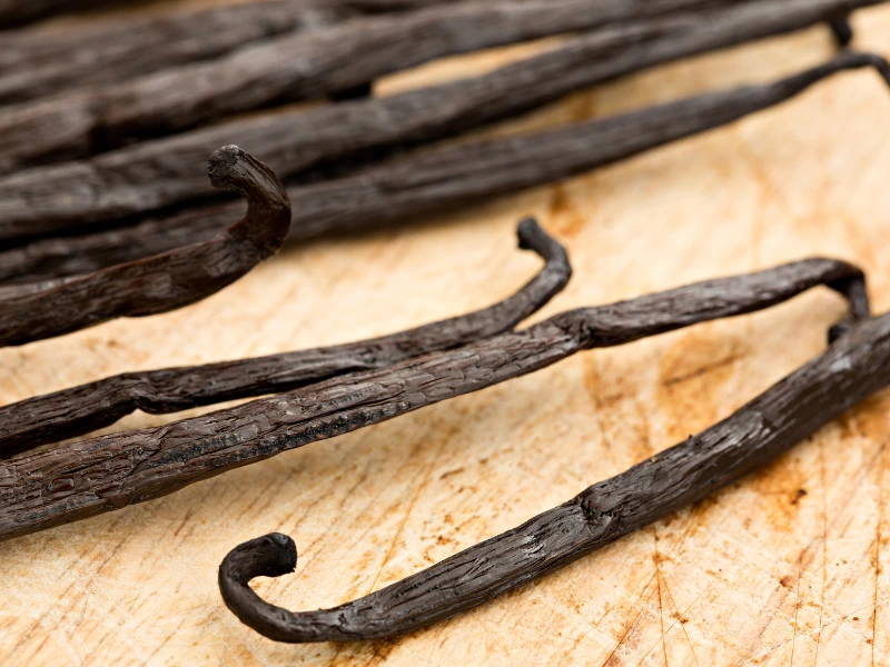 The Ultimate Guide to Vanilla Bean Orchid Plant Care: Tips and Tricks