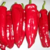 Sweet Red Marconi Pepper Seeds Heirloom Container Variety