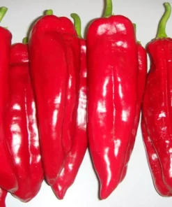 Sweet Red Marconi Pepper Seeds Heirloom Container Variety