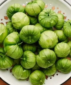 Green Tomatillo Seeds - 50 Seeds - Tomatillo Verde - Free Shipping