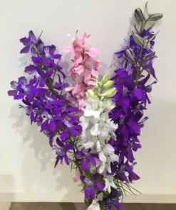 Rocket Larkspur Seeds - 1000 Seeds for Garden Planting