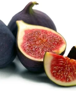 Black Mission Fig Tree - Ficus Carica Fig Tree Plant - Mission Fig Tree Live Plant - Fruit Tree Live Plant