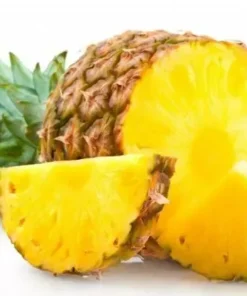 Elite Gold Pineapple Plant - Tropical Fruit Tree - Grow Your Own Pineapple
