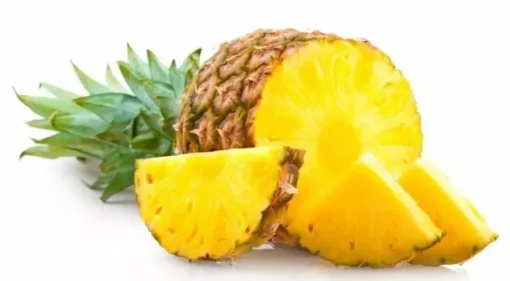 Elite Gold Pineapple Plant - Tropical Fruit Tree - Grow Your Own Pineapple