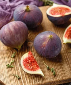 Fig Tree Plant - LSU Purple Fig Tree - Louisiana Purple Fig Tree Live Plant - 4-6 Inch Fig Plant - Fruit Tree Live Plant