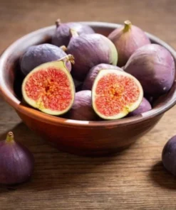 Fig Tree Plant - LSU Purple Fig Tree - Louisiana Purple Fig Tree Live Plant - 4-6 Inch Fig Plant - Fruit Tree Live Plant