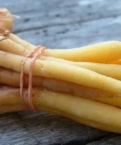 Finger Root Live Plant - Finger Root Starter Plant 4-6 inches - Chinese Keys - Chinese Ginger - Krachai - Live Herb Plant - Ginger Plant