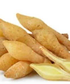 Finger Root Live Plant - Finger Root Starter Plant 4-6 inches - Chinese Keys - Chinese Ginger - Krachai - Live Herb Plant - Ginger Plant