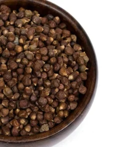 Grains Of Paradise Live Plant - Alligator Pepper Starter Plant - Grains Of Paradise Spice - Guinea Pepper - Melegueta Pepper