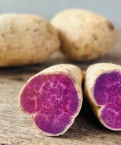Common Mistakes to Avoid When Growing Okinawan Purple Sweet Potatoes
