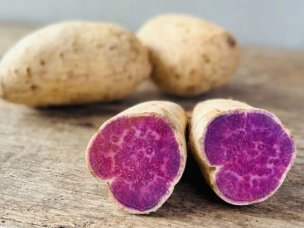 Common Mistakes to Avoid When Growing Okinawan Purple Sweet Potatoes