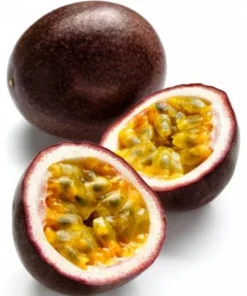 Purple Passion Fruit Plant - Starter Passiflora Purple Possum Passion Fruit Edible Passion Fruit Tree - Passion Plant Live