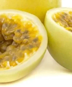 Sweet Sunrise Passion Fruit Plant – 4-6 Inches Tall – Exotic Climbing Vine with Sweet Tropical Fruit – Thrives in Gardens & Containers