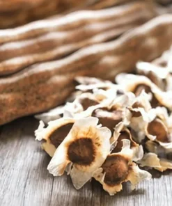 Moringa Oleifera Seeds - 25 Seed Pack for Planting - Grow Your Own Moringa Tree