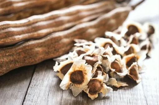 Moringa Oleifera Seeds - 25 Seed Pack for Planting - Grow Your Own Moringa Tree