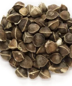 Moringa Oleifera Seeds - 25 Seed Pack for Planting - Grow Your Own Moringa Tree