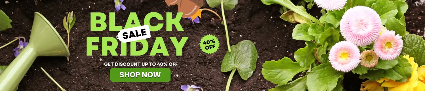 Black fridayday plants sale-best garden seed