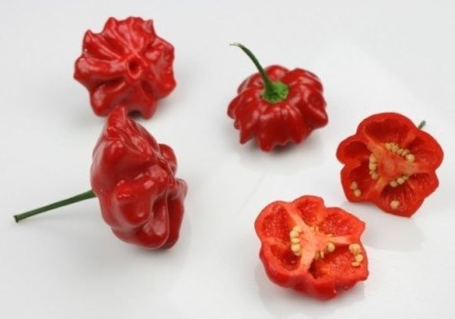 Brazilian Starfish Pepper Seeds – Heirloom Variety – 10+ Seeds
