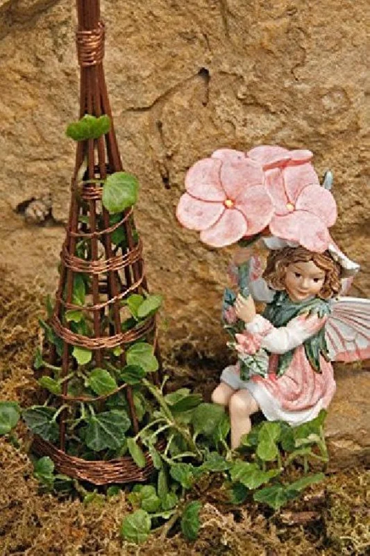 English Ivy Plant 2.5 Inch Pot - Ideal for Terrariums and Fairy Gardens