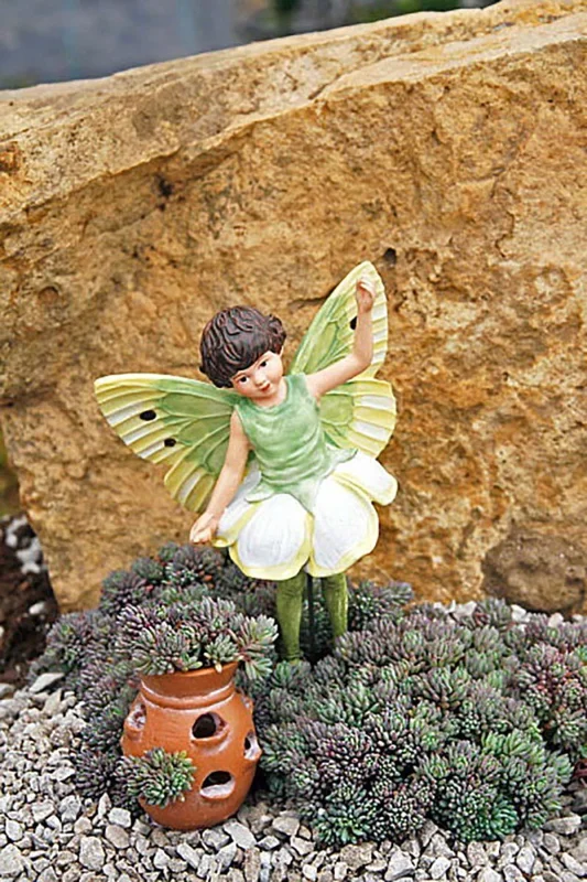 Frosted Blue Sedum Plant - 2.5 Inch Pot - Sun Loving Ground Cover