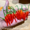 KS Starrscream Red Pepper Seeds - Heirloom Variety