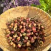 Purple Peach Chupentinho Pepper Seeds - Heirloom Variety