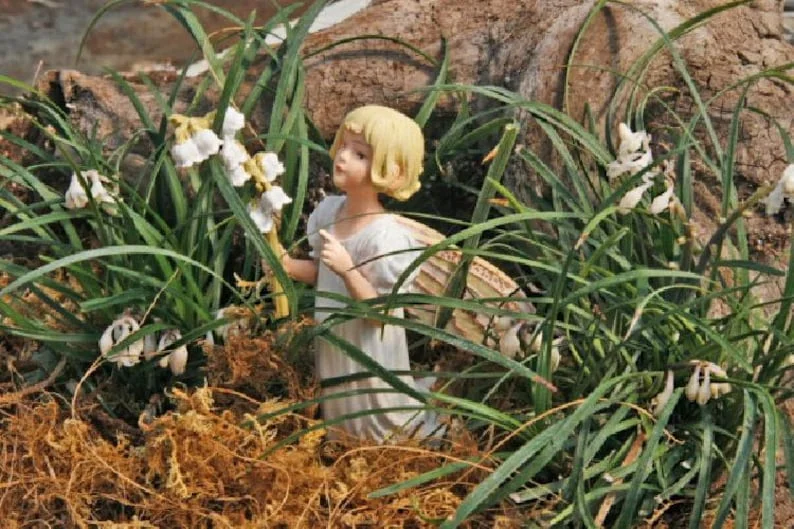 White Sparkler Mondo Grass - Ophiopogon - 2.5" Pot - Fairy Garden Plant