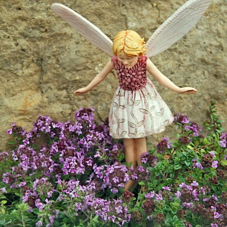 Wine Roses Thyme Plant - 2.5 Inch Pot - Herb, House, Fairy Garden