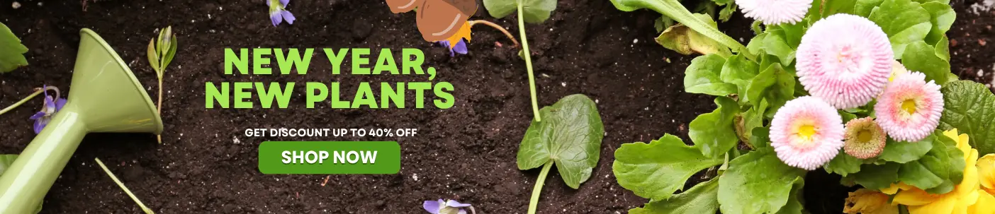 New year, new plants - Best garden seed