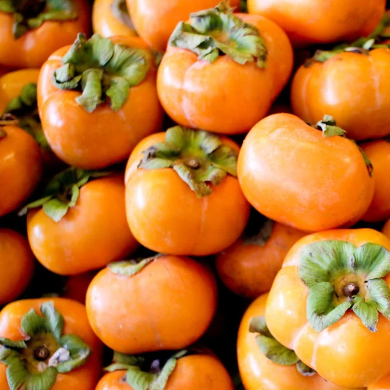 2 American Persimmon Live Trees - 12-24" Bare Root, Dormant, Cold Hardy, Zone 4-9 - Image 1