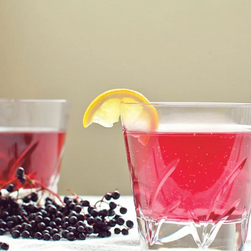 2 Black Elderberry Live Plants - Dormant Bareroots, 7-12 Inch Tall, Cold Hardy Outdoor - Image 8