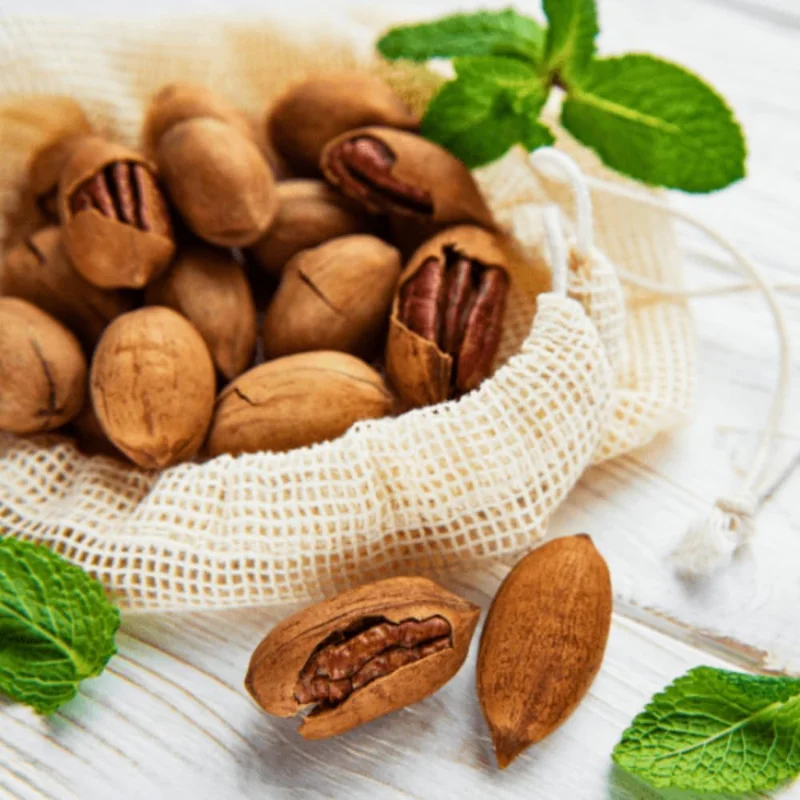 4 Pecan Trees Live Bare Root Plants, 1-2 Ft Tall Hardy Nut Trees for Outdoor Planting - Image 1