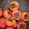 4 Persimmon Fruit Tree Bare Root Plants, 12-24 Inches Tall, Outdoor - Image 1