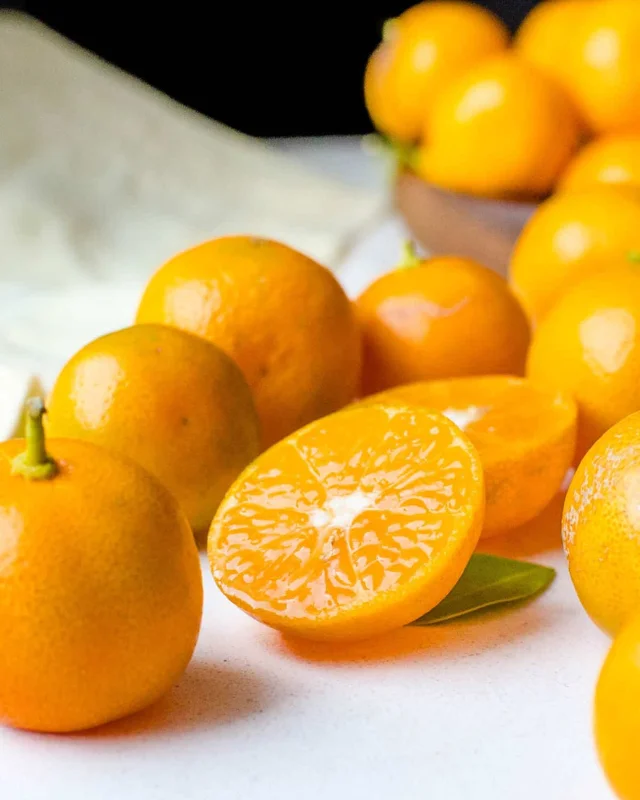 Calamondin Citrus Tree Live Plant - 3 Gallon Pot, 2-3 Feet Tall, Dwarf Fruit - Image 1