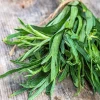 French Tarragon Live Plant 3 Pack for Culinary Gardening - 4-8 Inch Tall - Image 1