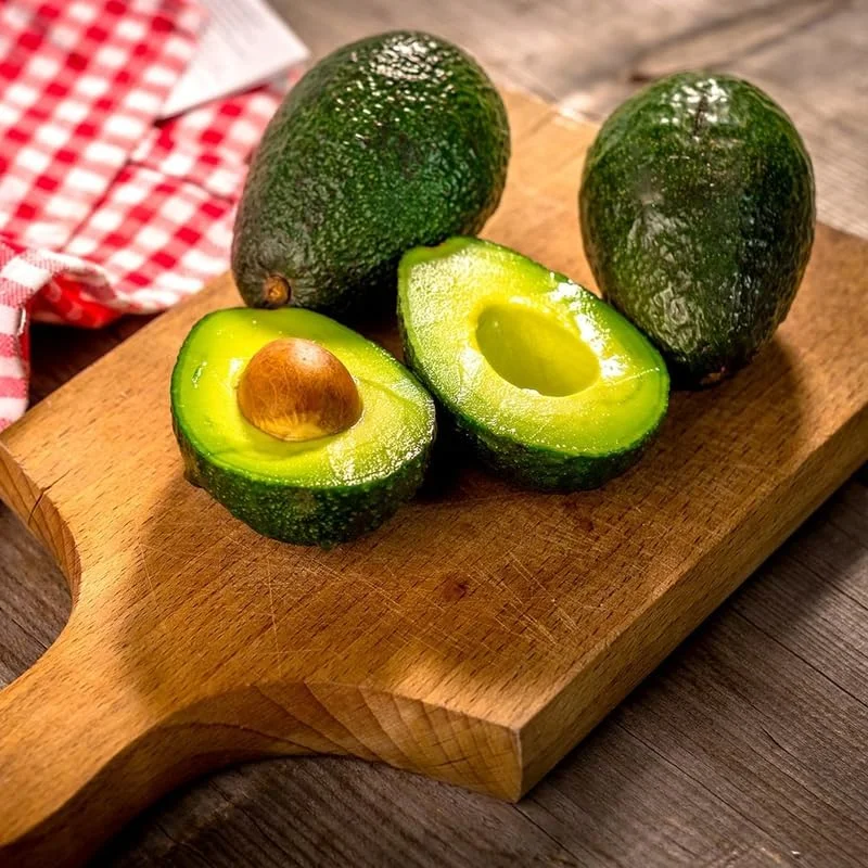 Hass Avocado Live Plant – 8-16 Inches Tall – Half Gallon Pot – Outdoor Fruit Tree - Image 7