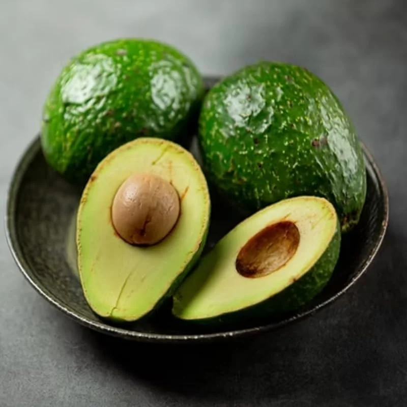 Hass Avocado Live Plant – 8-16 Inches Tall – Half Gallon Pot – Outdoor Fruit Tree - Image 8