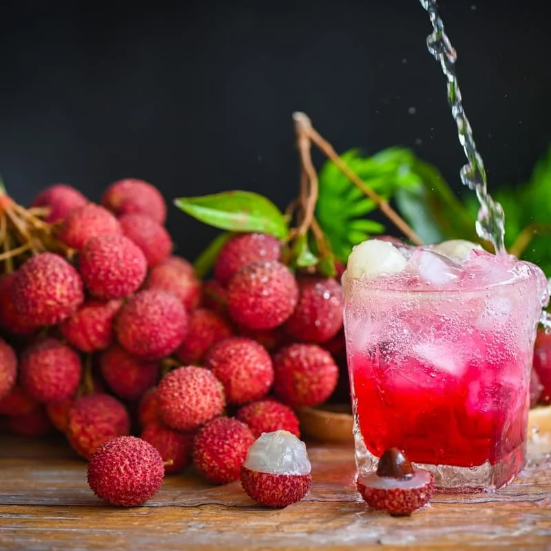 Live Lychee Fruit Tree - 10-12" Tall Litchi Plant in Half-Gallon Pot - Image 2