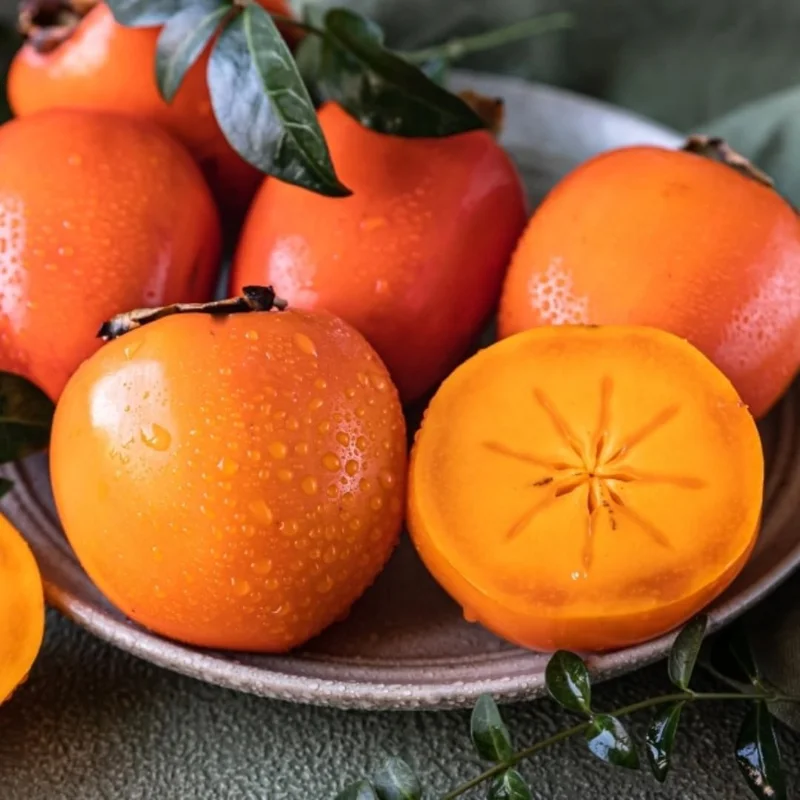 Live Persimmon Tree - 1 Foot Tall Hardy Fruit Tree for Outdoor Planting - Image 2