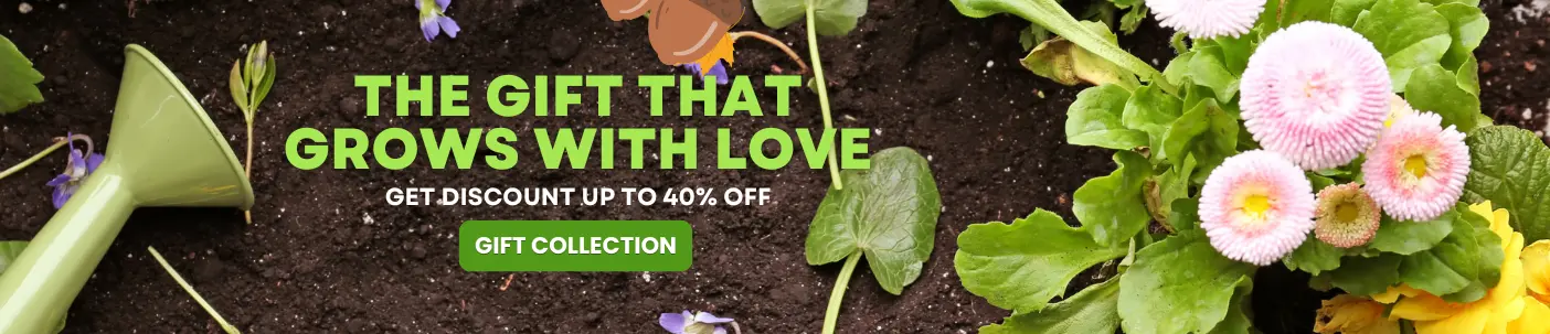 Home - plant gift ideas - best garden seed