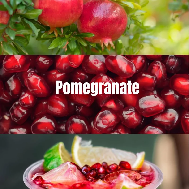 Pomegranate Tree Live Plant 6-10" Tall - Hardy Red Fruit Bush in Gallon Pot - Image 3