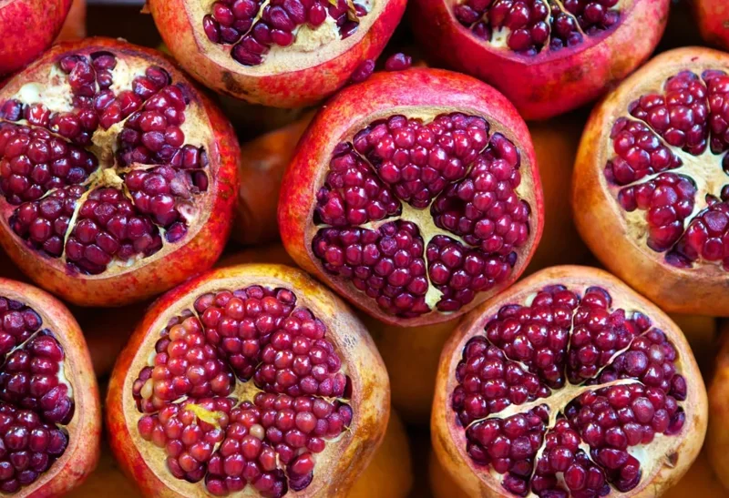 Pomegranate Tree Live Plant 6-10" Tall - Hardy Red Fruit Bush in Gallon Pot - Image 5